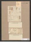 Amphora ovalis var. pediculus (Kuetz.) V. H. (de-Toni-Nr.: Genus 36, Species 1672) Zeichnungen Sammlung Grunow Nr. 3218 (NHMW-BOT-W0370674)